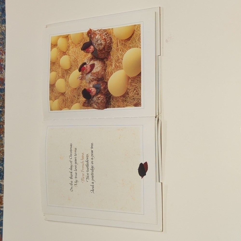 Anne Geddes The Twelve Days of Christmas Hardback Book (1994) - Picture 7 of 7
